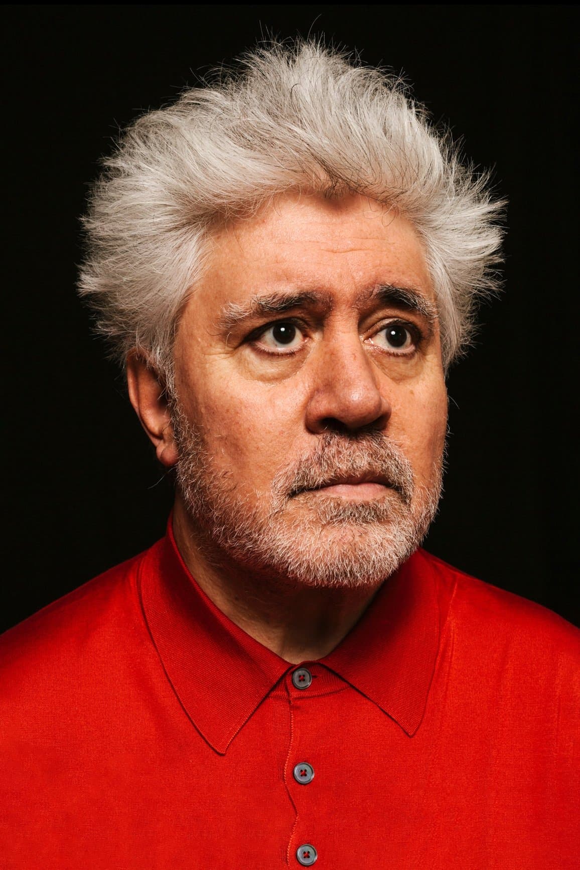 Pedro Almodóvar poster